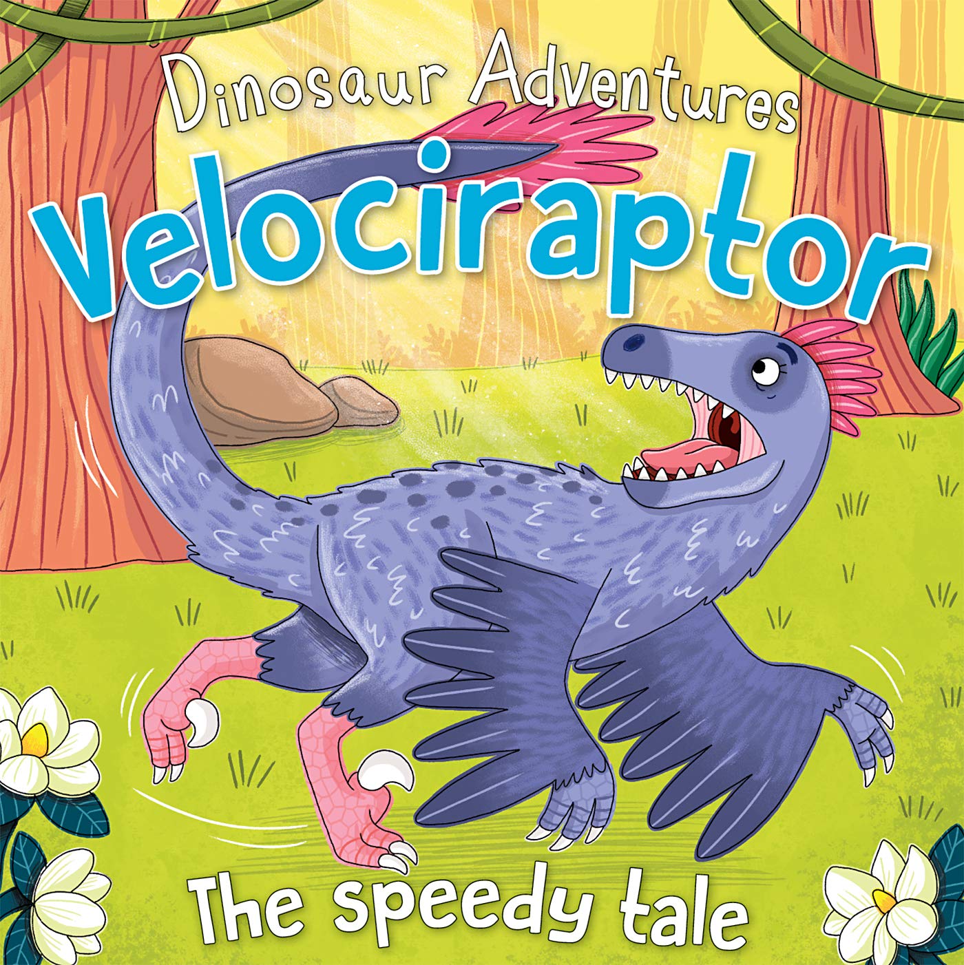 Picture books (Dinosaur Stories- Velociraptor) 1 Picture books (Dinosaur Stories- Velociraptor)