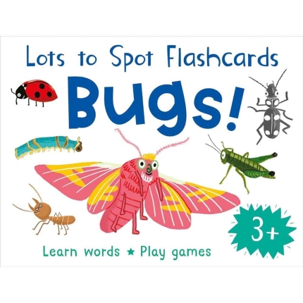 LOTS TO SPOTFC BUGS FLASHCARDS